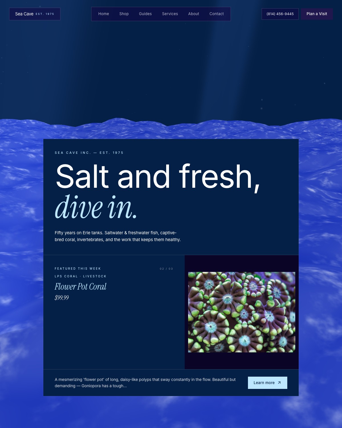 Sea Cave — saltwater aquarium store